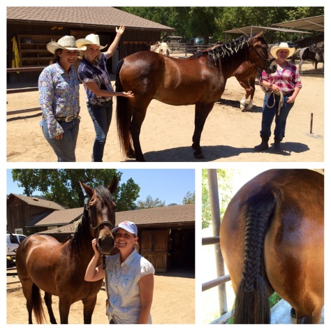 Top Right: Alisal Wrangler Gals present the newly pampered and relaxed Thor | Bottom Left: Alisal Guest Jolene poses with her favorite pal | Bottom Right:  Close-up of the beautiful tail braid work